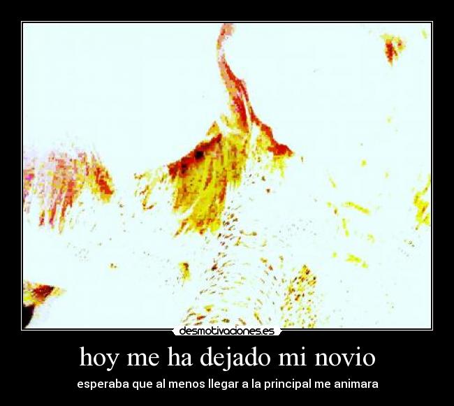 hoy me ha dejado mi novio - esperaba que al menos llegar a la principal me animara
