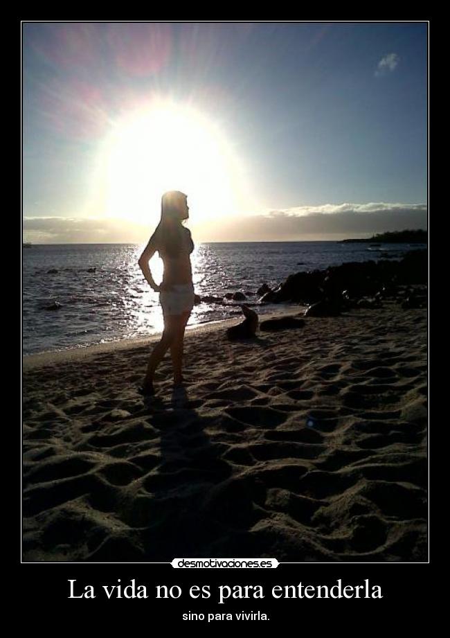 La vida no es para entenderla - sino para vivirla.