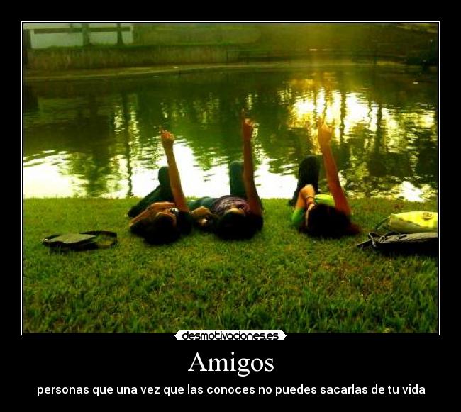 Amigos -