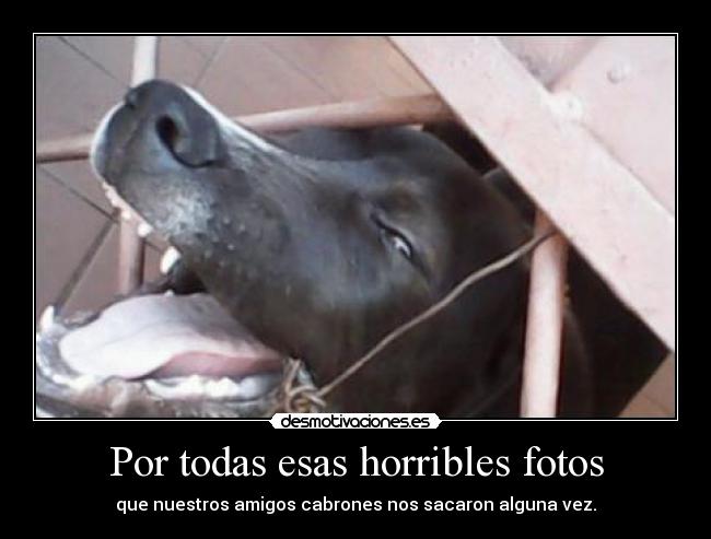 Por todas esas horribles fotos -