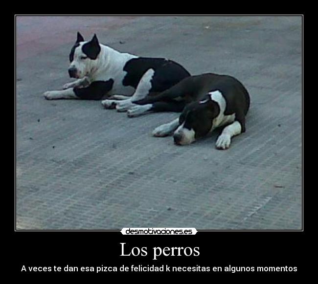 Los perros - A veces te dan esa pizca de felicidad k necesitas en algunos momentos