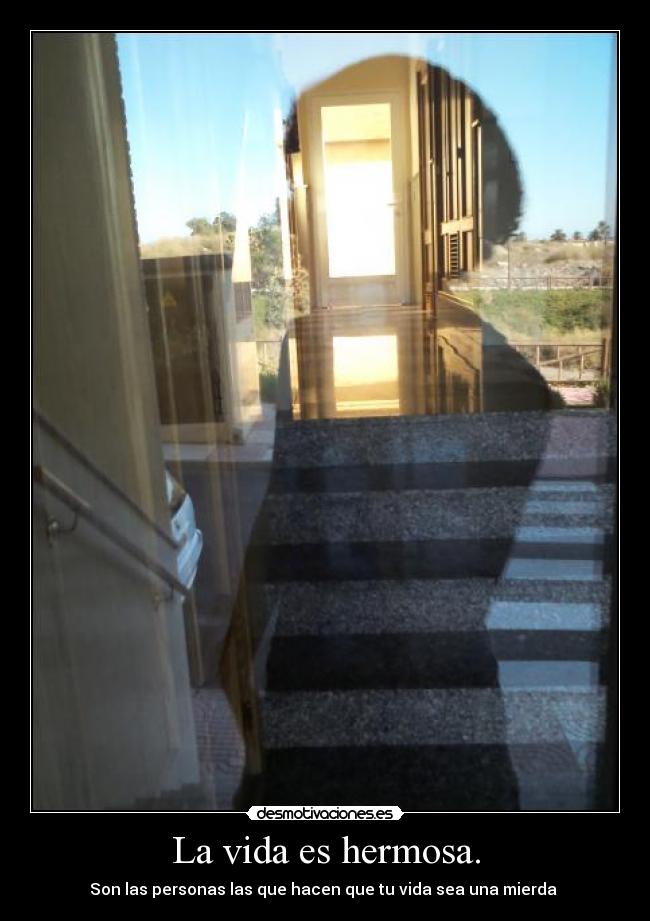 La vida es hermosa. - 