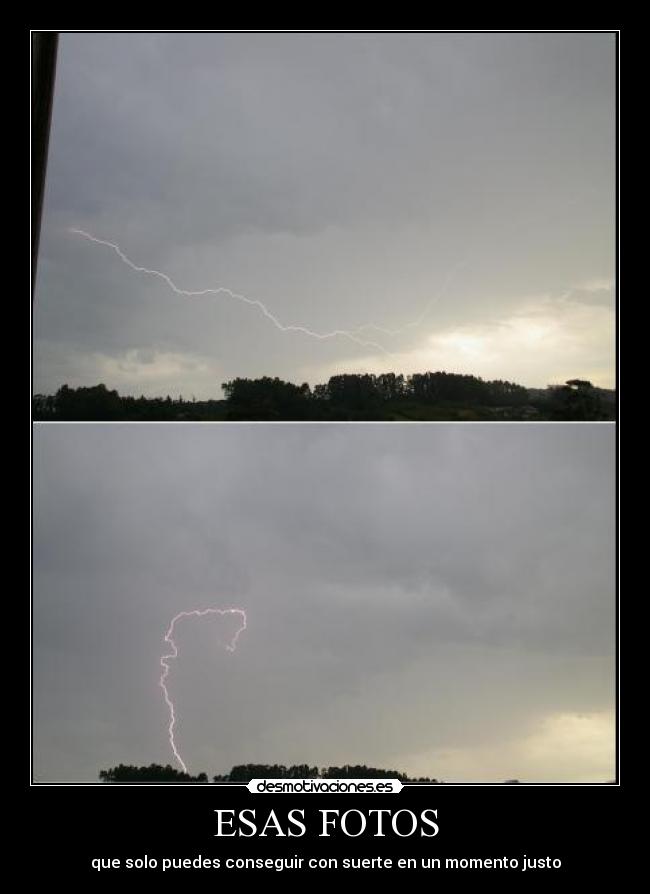 ESAS FOTOS - que solo puedes conseguir con suerte en un momento justo