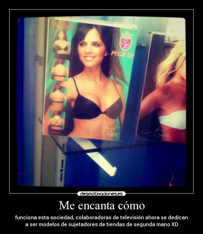 carteles rarezas desmotivaciones