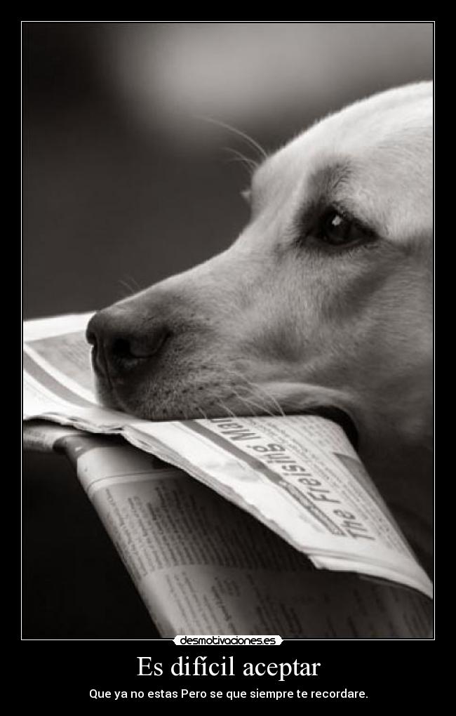 Es difícil aceptar -