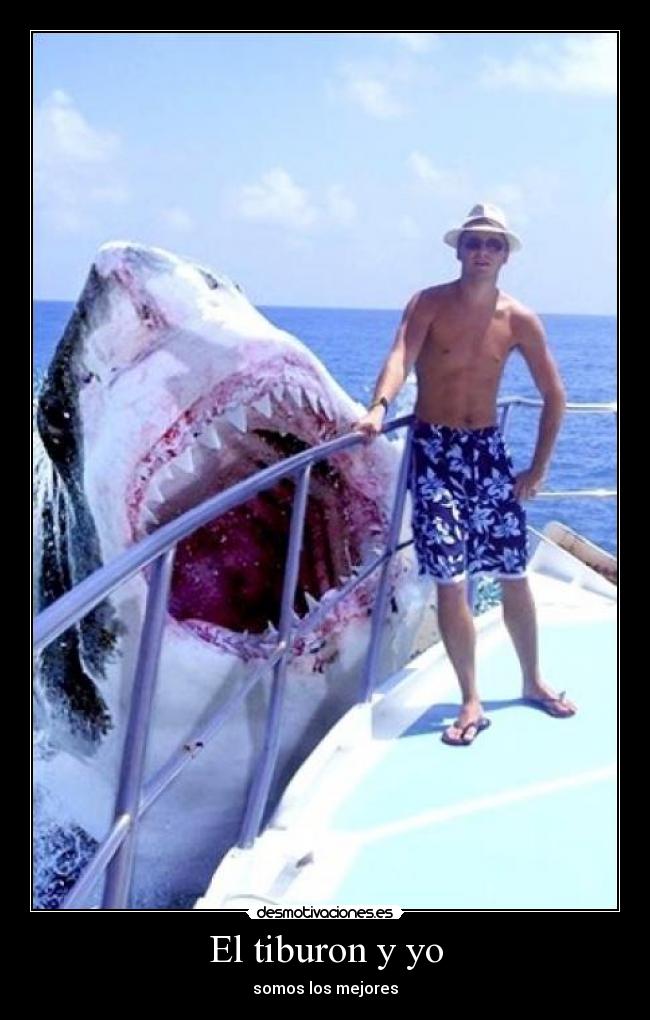 El tiburon y yo - 