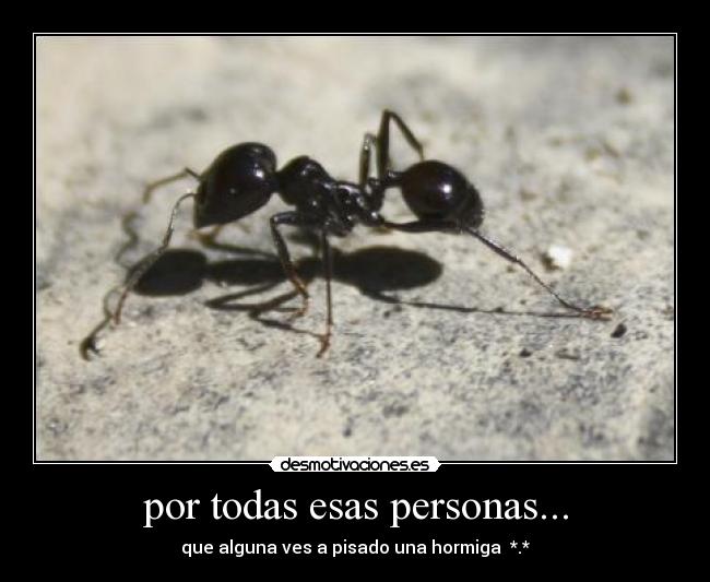 por todas esas personas... -