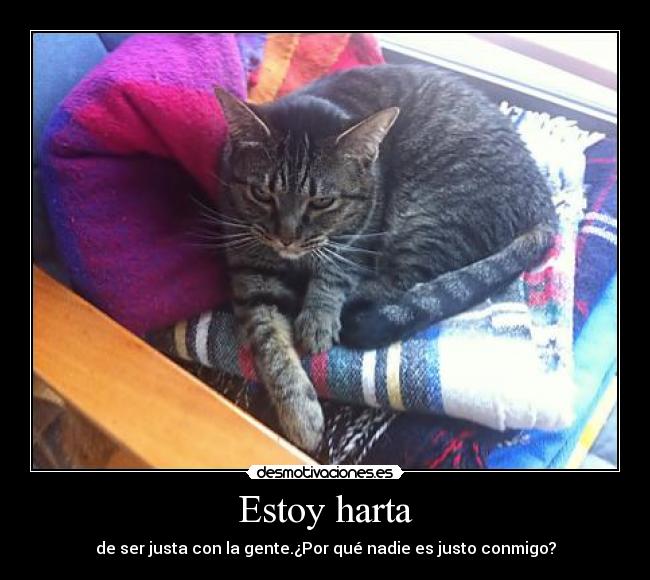 Estoy harta - de ser justa con la gente.¿Por qué nadie es justo conmigo?