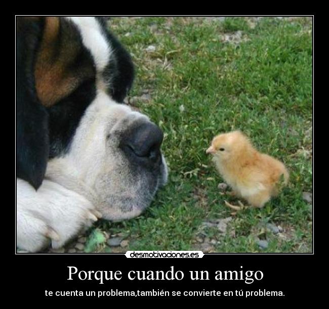Porque cuando un amigo -