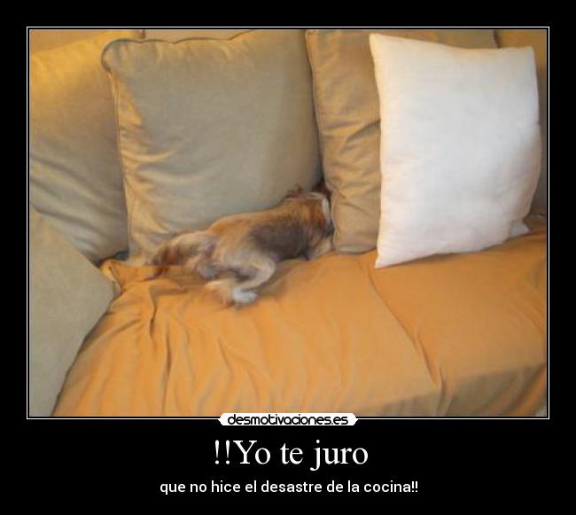 !!Yo te juro - que no hice el desastre de la cocina!!