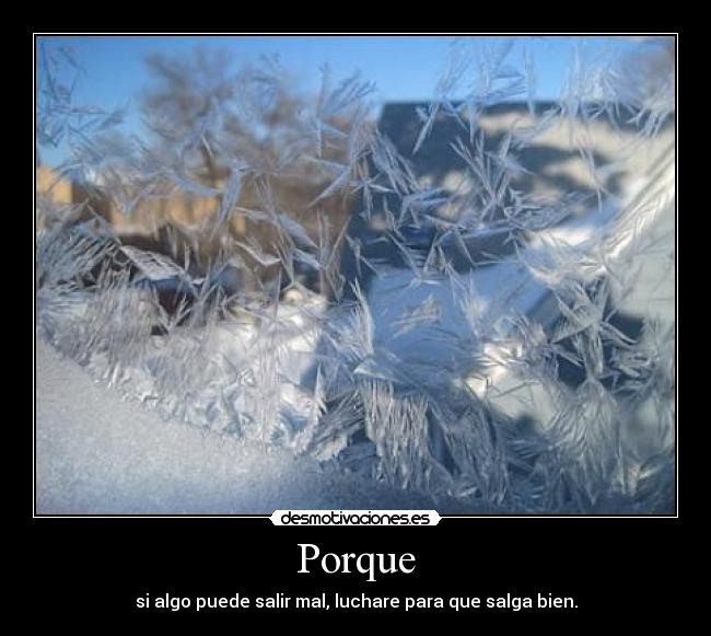 Porque - si algo puede salir mal, luchare para que salga bien.