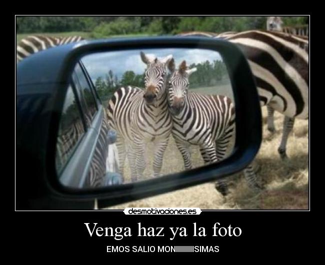 Venga haz ya la foto -