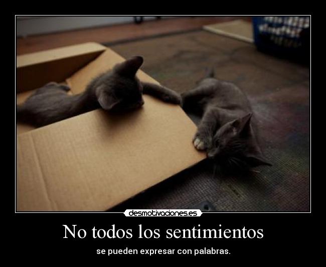 No todos los sentimientos - 