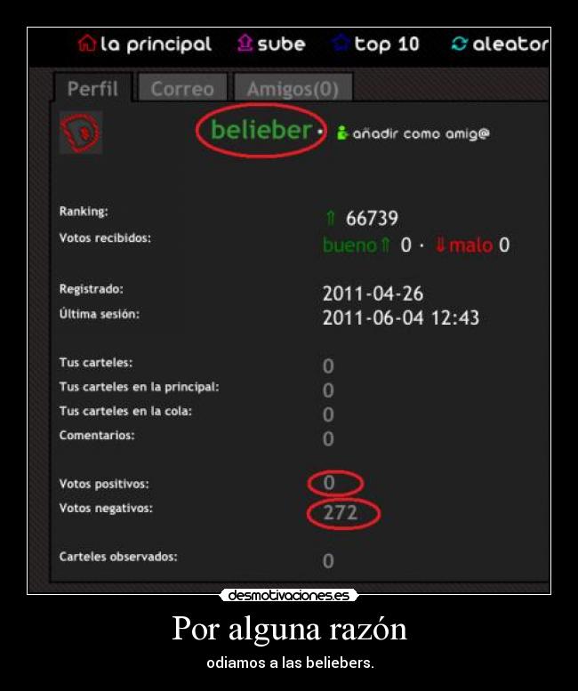 Por alguna razón - odiamos a las beliebers.
