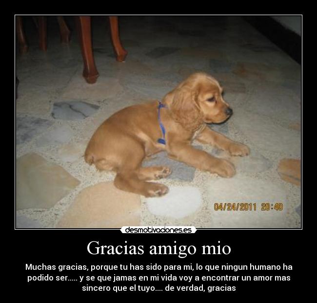 Gracias amigo mio -
