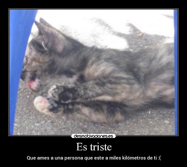 Es triste - Que ames a una persona que este a miles kilómetros de ti :(
