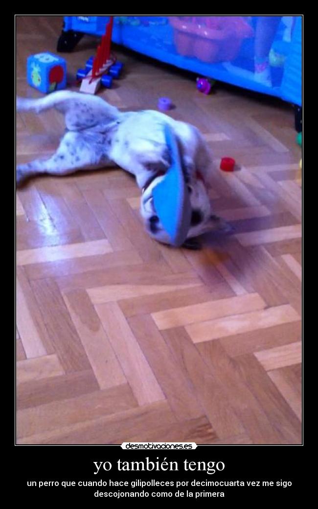 carteles perro gilipolleces desmotivaciones