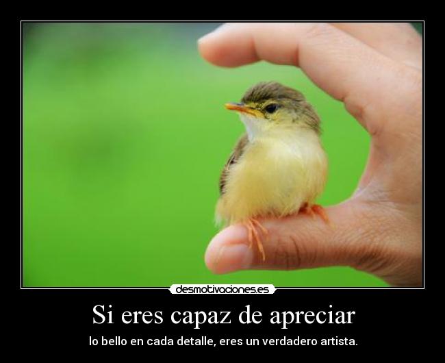 Si eres capaz de apreciar - lo bello en cada detalle, eres un verdadero artista.