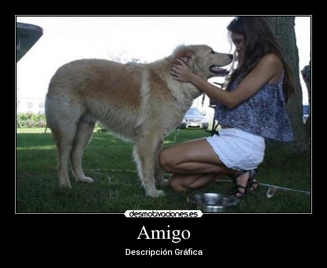 Amigo - 