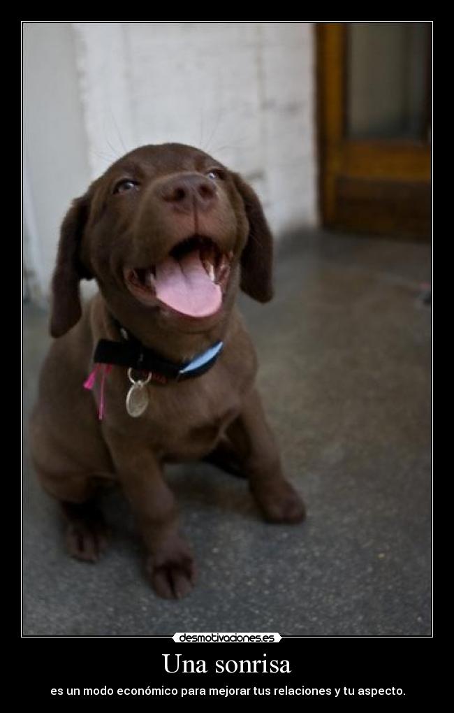 Una sonrisa - es un modo económico para mejorar tus relaciones y tu aspecto.