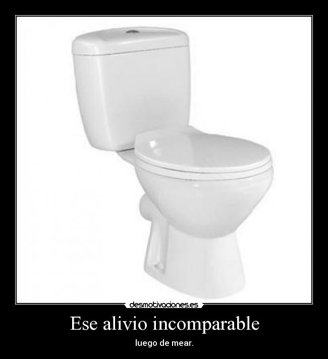 Ese alivio incomparable - luego de mear.