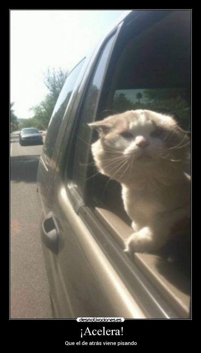 ¡Acelera! -