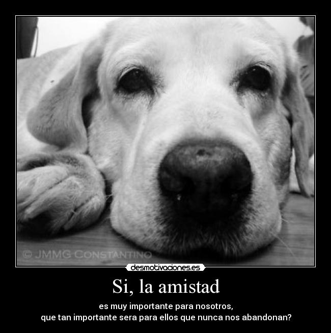 Si, la amistad -