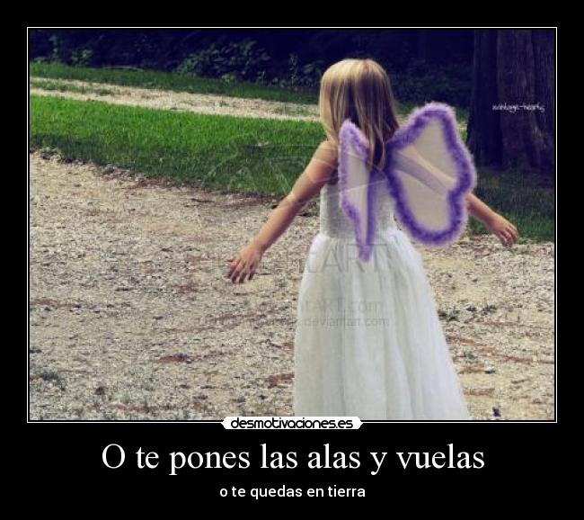 O te pones las alas y vuelas -
