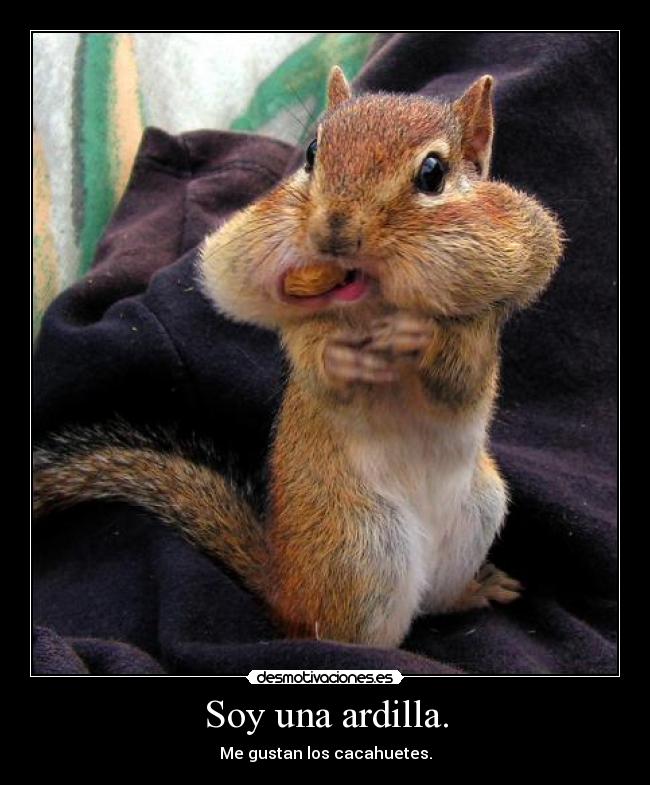 carteles sthaky aun escribir nombre memoria desmotivaciones