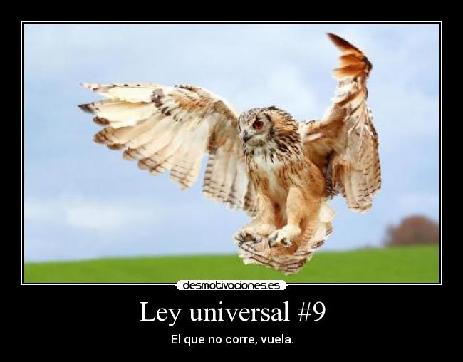 Ley universal #9 - El que no corre, vuela.