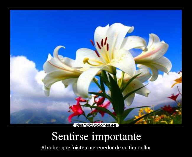 Sentirse importante - Al saber que fuistes merecedor de su tierna flor