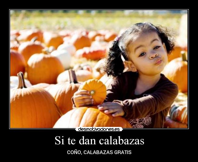 Si te dan calabazas - COÑO, CALABAZAS GRATIS