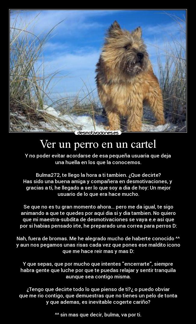 Ver un perro en un cartel - Y no poder evitar acordarse de esa pequeña usuaria que deja
una huella en los que la conocemos.
Bulma272, te llego la hora a ti tambien. ¿Que decirte?
Has sido una buena amiga y compañera en desmotivaciones, y
gracias a ti, he llegado a ser lo que soy a dia de hoy: Un mejor
usuario de lo que era hace mucho.
Se que no es tu gran momento ahora... pero me da igual, te sigo
animando a que te quedes por aqui dia si y dia tambien. No quiero
que mi maestra-subdita de desmotivaciones se vaya e.e asi que
por si habias pensado irte, he preparado una correa para perros D:
Nah, fuera de bromas. Me he alegrado mucho de haberte conocido ^^
y aun nos pegamos unas risas cada vez que pones ese maldito icono
que me hace reir mas y mas D:
Y que sepas, que por mucho que intentes encerrarte, siempre
habra gente que luche por que te puedas relajar y sentir tranquila
aunque sea contigo misma.
¿Tengo que decirte todo lo que pienso de ti?¿ o puedo obviar
que me rio contigo, que demuestras que no tienes un pelo de tonta
y que ademas, es inevitable cogerte cariño?
^^ sin mas que decir, bulma, va por ti.