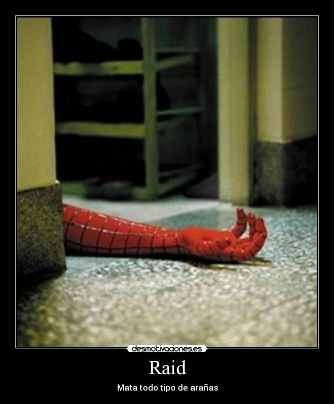 Raid - Mata todo tipo de arañas