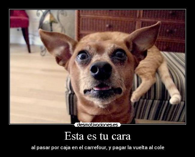 Esta es tu cara - al pasar por caja en el carrefour, y pagar la vuelta al cole