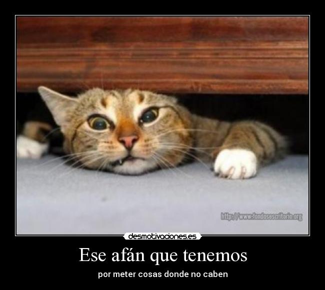 Ese afán que tenemos - por meter cosas donde no caben