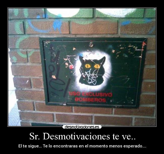 Sr. Desmotivaciones te ve.. -