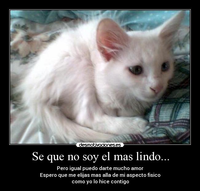 Se que no soy el mas lindo... - Pero igual puedo darte mucho amor
Espero que me elijas mas alla de mi aspecto fisico
como yo lo hice contigo