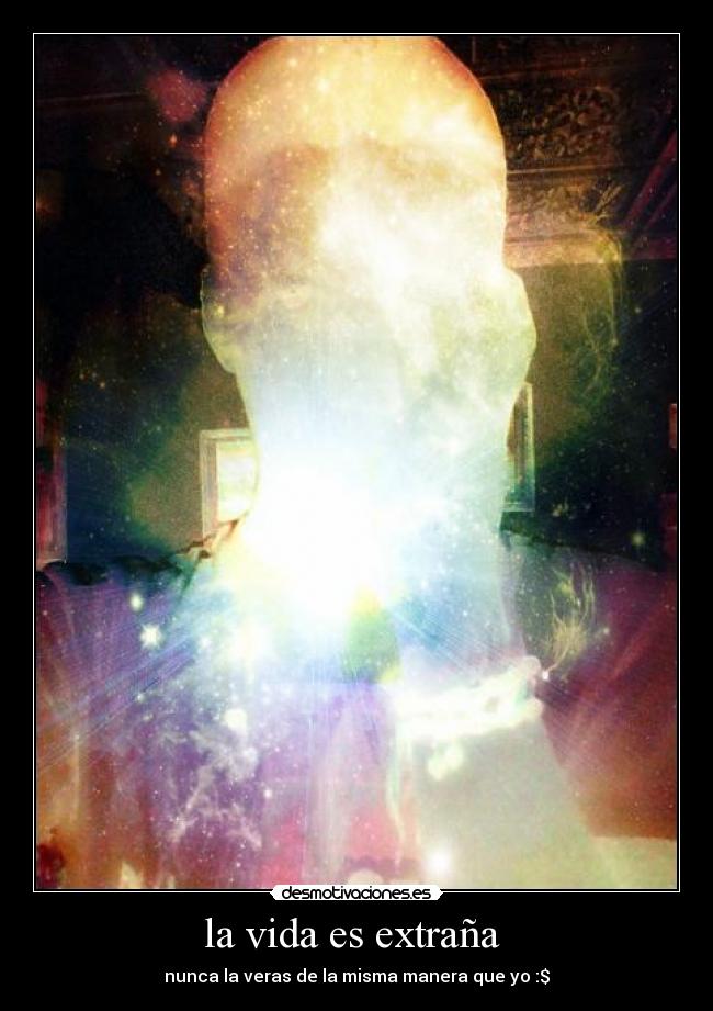 la vida es extraña  - 