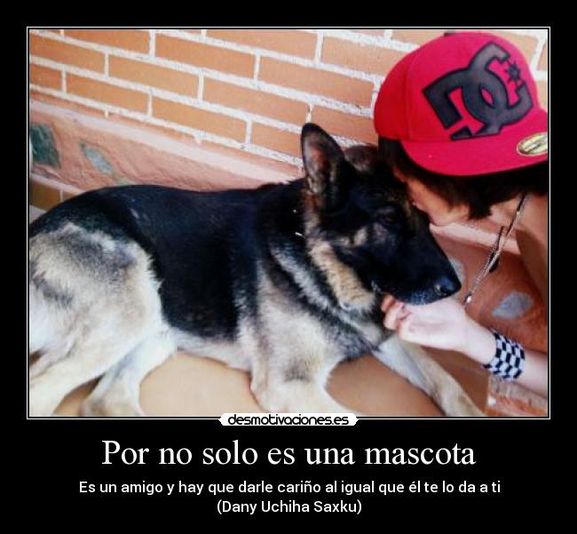 carteles dany uchiha saxku macota king desmotivaciones