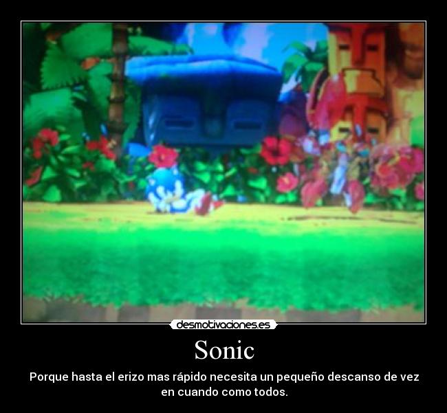 Sonic - Porque hasta el erizo mas rápido necesita un pequeño descanso de vez
en cuando como todos.