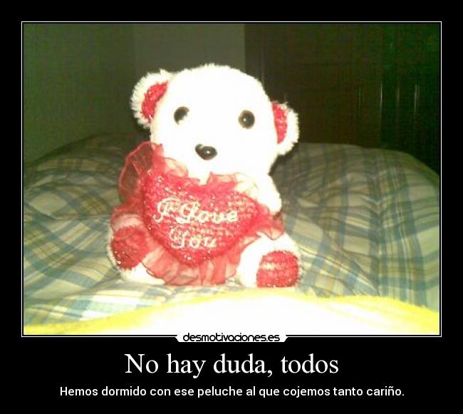 No hay duda, todos - Hemos dormido con ese peluche al que cojemos tanto cariño.