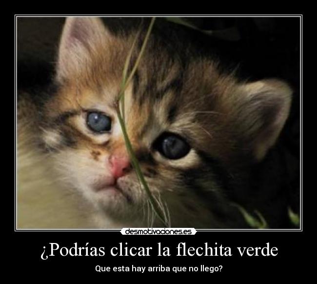 ¿Podrías clicar la flechita verde -