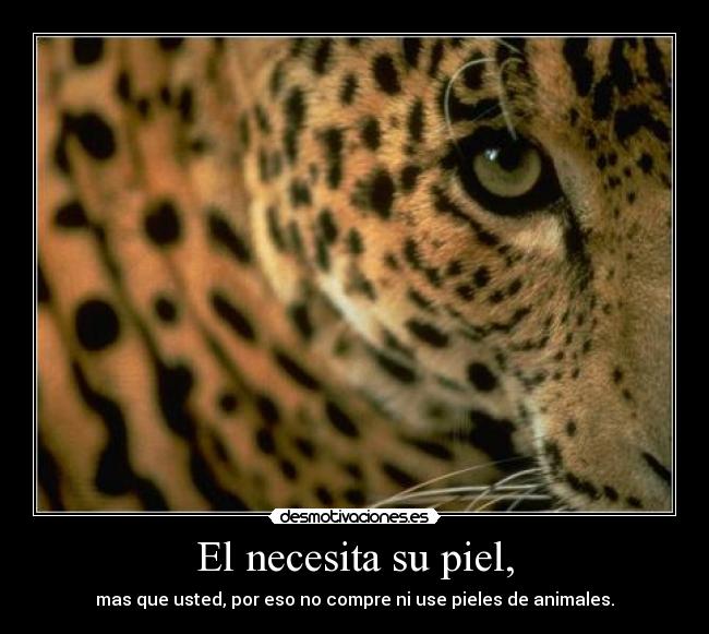 El necesita su piel, -