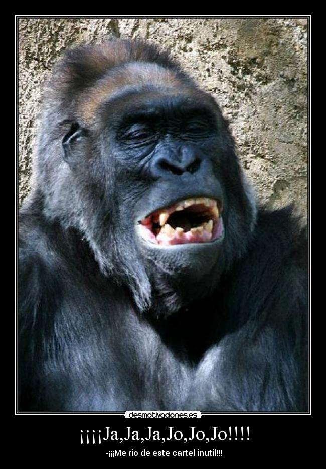 ¡¡¡¡Ja,Ja,Ja,Jo,Jo,Jo!!!! - 