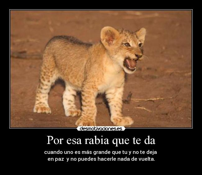 Por esa rabia que te da - cuando uno es más grande que tu y no te deja
en paz y no puedes hacerle nada de vuelta.
