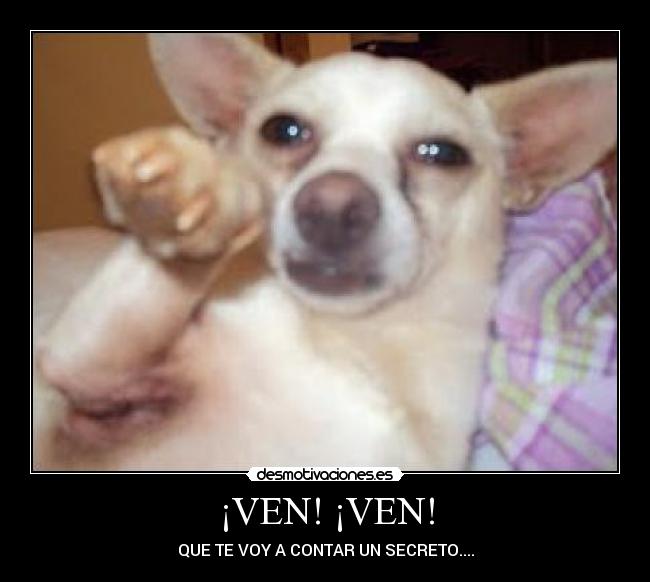 ¡VEN! ¡VEN! - QUE TE VOY A CONTAR UN SECRETO....