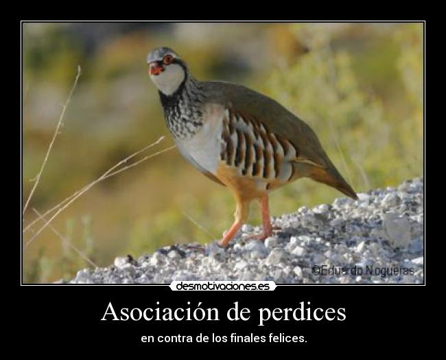 carteles fueron felices comienron perdices acabo xdd desmotivaciones