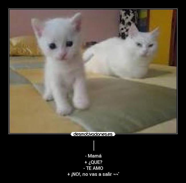 | - - Mamá
+ ¿QUE?
- TE AMO♥
+ ¡NO!, no vas a salir ¬¬