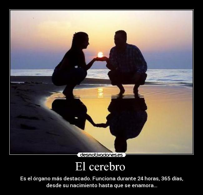 carteles amoor desmotivaciones